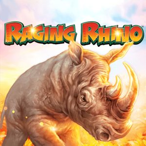 Raging Rhino Raging Rhino