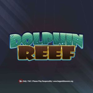 Dolphin Reef Dolphin Reef